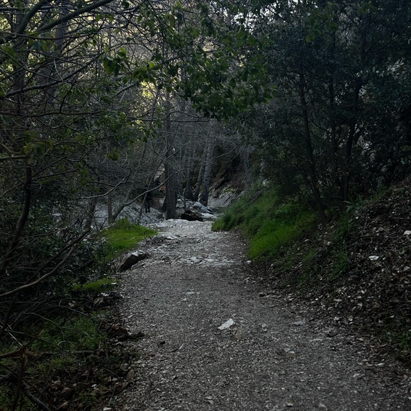 hello :) - Picture 3 of 15